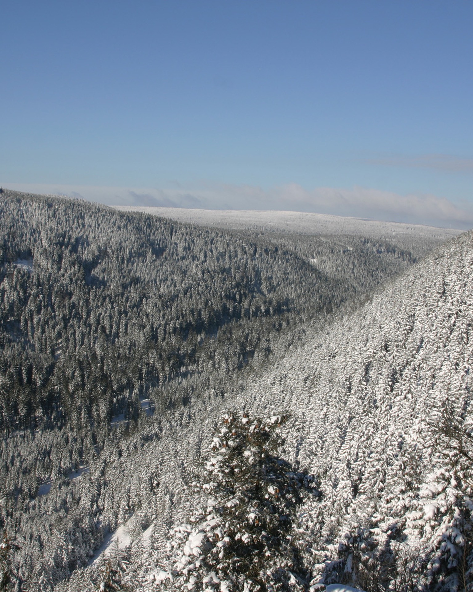 Harzer Winterlandschaft - Traumhaft